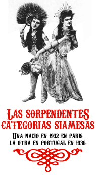 Categorias
